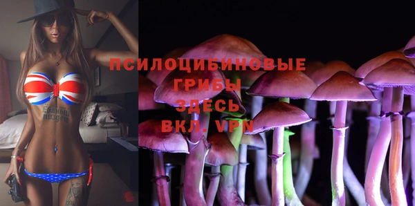 герыч Сафоново