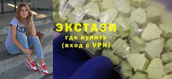 индика Саяногорск