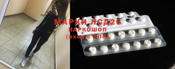 индика Саяногорск