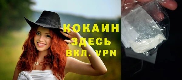 индика Саяногорск