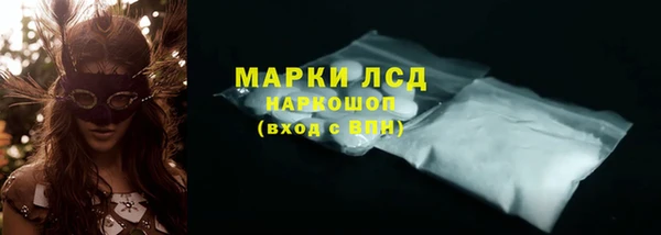 индика Саяногорск