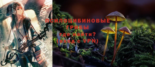 герыч Богородск