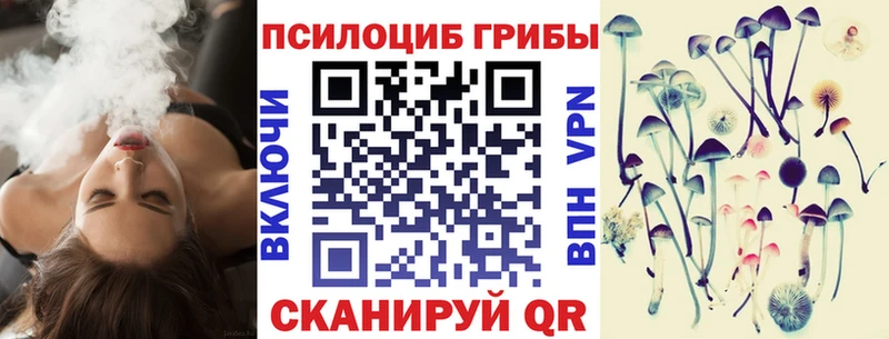 Купить где  Орёл  Галлюциногенные грибы Cubensis 